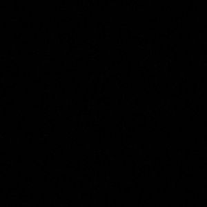 Meet your Posher, Cute